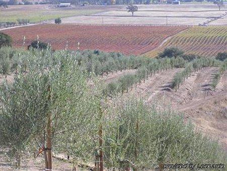 Alta Cresta Orchard & Inn Paso Robles Tiện nghi bức ảnh